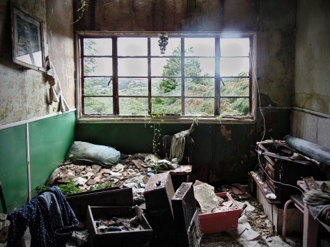 Cool Mountain Sitting Room