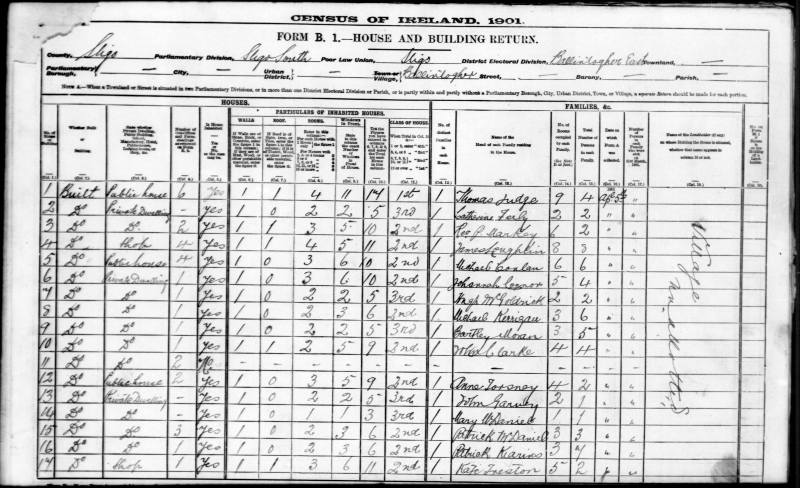 Ballintoger 1901 census extract