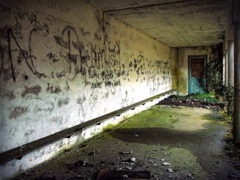 Drumlish Co. Longford c.1930 Shelter
