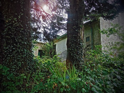 Gortnabinny NS Co. Kerry View.jpg