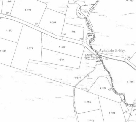 Carrigagulla First Edition 25 inch map