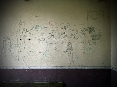 Plate 33 - The idle musings on the walls of the bathroom at Drumlish National School, Drumlish townland, Co. Longford built in c.1930