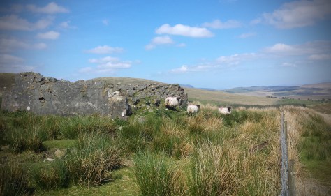 The wall-footings of Glenmask National School in the Partry Mountains, Co. Mayo 